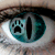:iconblackartemis:
