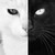 :iconblackasaraven12: