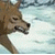 :iconblackbane: