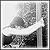 :iconblackberry-sage: