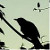 :iconblackbird-is-singing: