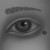 :iconblackbird-x:
