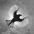 :iconblackbird19890801: