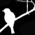 :iconblackbird363: