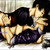 :iconblackbirdredshield:
