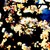 :iconblackbiscuit16: