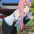 :iconblackbreathingfire:
