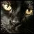 :iconblackcat-91: