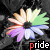 :iconblackcat-curse:
