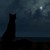 :iconblackcat12347: