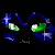 :iconblackcat2000:
