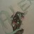 :iconblackcat21223: