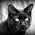 :iconblackcatmagick: