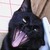 :iconblackcloudzzz: