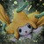 :iconblackcoffin7734: