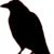 :iconblackcrow6: