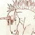 :iconblackdog15:
