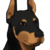 blackdogplz :iconblackdogplz: