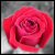 :iconblackdragon129: