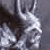 :iconblackdragon1985: