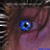 :iconblackdragon241: