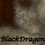 :iconblackdragon43: