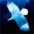 :iconblackeagle2: