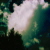 :iconblackelephant: