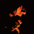 :iconblackened-black:
