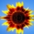 :iconblackeyedgirl86: