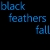 :iconblackfeathersfall: