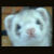 :iconblackferret: