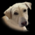 :iconblackfiredesignz: