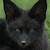 BlackfoxC :iconblackfoxc: