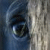 :iconblackfriesians: