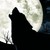 :iconblackfullmoon: