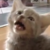 :iconblackg1rl: