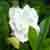 :iconblackglovephoto: