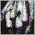 :iconblackhanded: