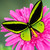 :iconblackhawk1881: