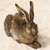 :iconblackholesun21:
