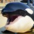 :iconblackhorse3000: