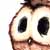 :iconblackindy: