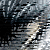 :iconBlackKetchup:
