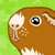 :iconblacklegkat: