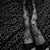 :iconblacklight-rose: