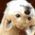 :iconblacklily2011: