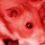 :iconblackmoon55:
