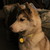 :iconblackmoonlight: