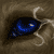 :iconblacknamewolf:
